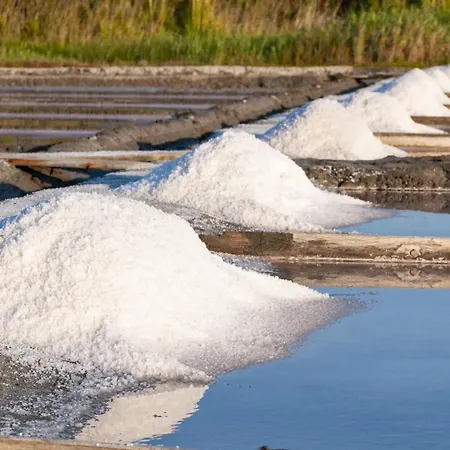 公寓 Silvaapartments