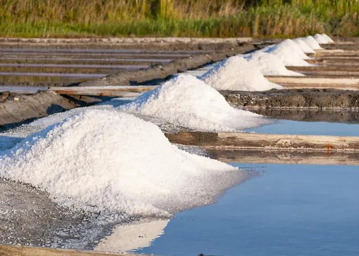 公寓 Silvaapartments