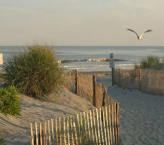 Silvaapartments 公寓