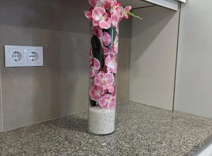 Silvaapartments 公寓 *